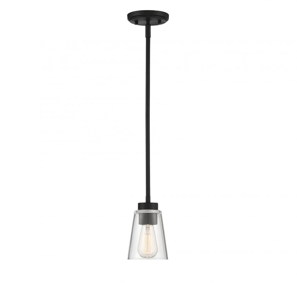 Calhoun 1-Light Mini-Pendant in Matte Black