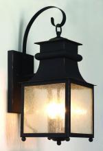 Trans Globe 45631 WB - Santa Ines 18" Wall Lantern