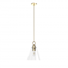 Hunter 19438 - Hunter Klein Alturas Gold with Clear Glass 1 Light Pendant Ceiling Light Fixture