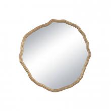 Regina Andrew 21-1166 - Regina Andrew Vine Mirror Small (Antique Gold)